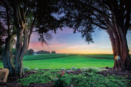 A serene landscape featuring trees framing a vibrant sunset over lush green fields.