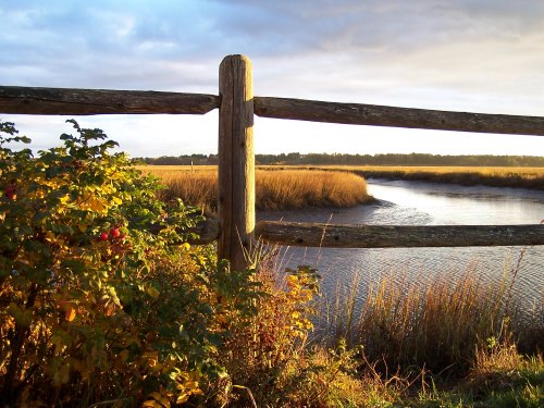 A wooden fence borders a tranquil marsh with tall grasses and colorful foliage under a cloudy sky.