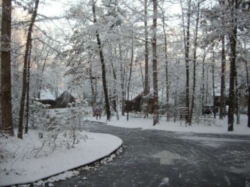 A snowy forest scene with trees covered in white, a winding road, and rustic cabins in the background.