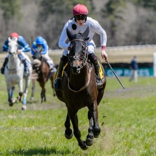 A jockey in red and white rides a black horse, racing ahead of other horses on a grassy track.