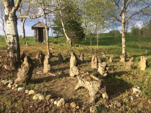 A grassy area with unique stone sculptures surrounded by trees and a small wooden structure in the background.