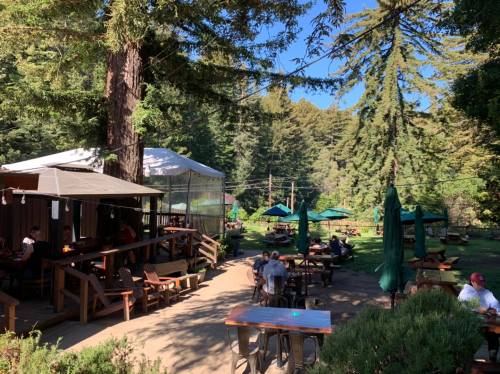 Outdoor seating area surrounded by tall trees, with people dining and enjoying the sunny day.
