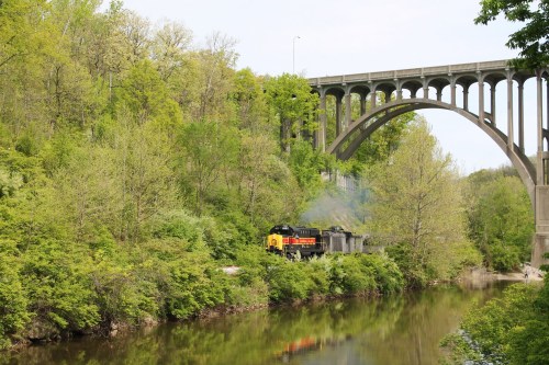 A train travels along a riverbank, with lush greenery and a large bridge in the background.