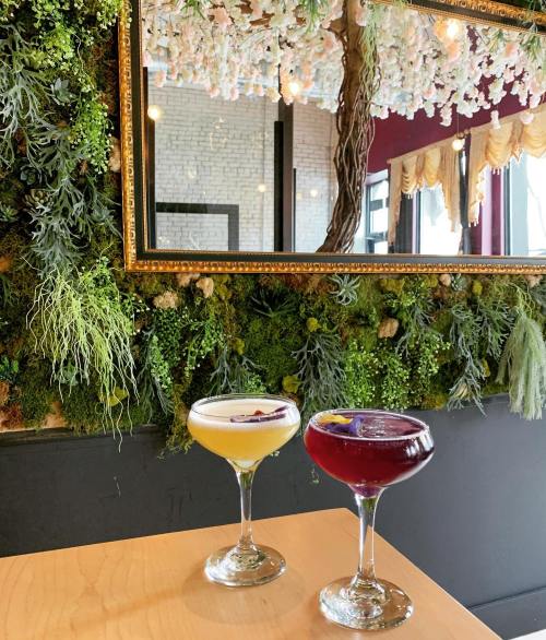 Two elegant cocktails on a wooden table, with a lush green wall and a decorative mirror in the background.