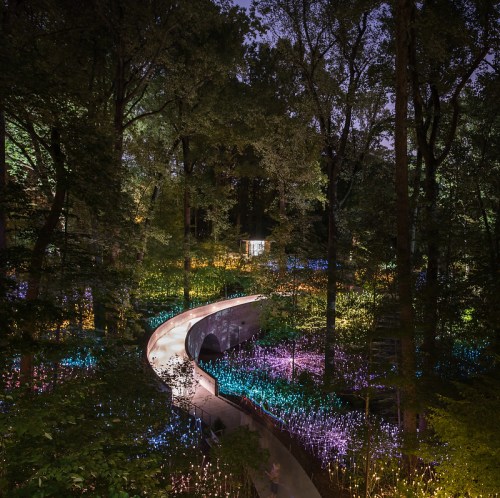 A winding path through a forest illuminated by colorful lights, creating a magical nighttime atmosphere.