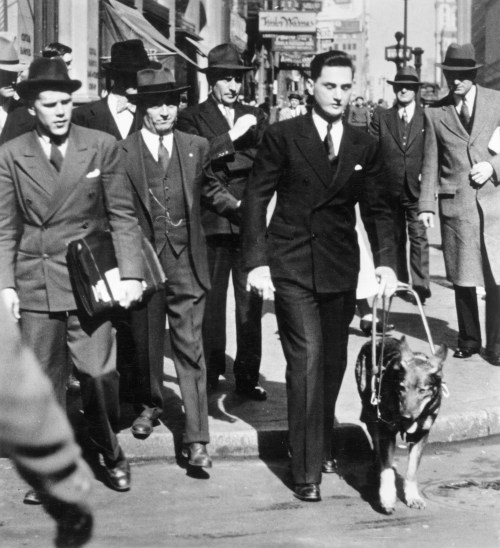 A group of men in suits walking on a city street, one man leading a dog.