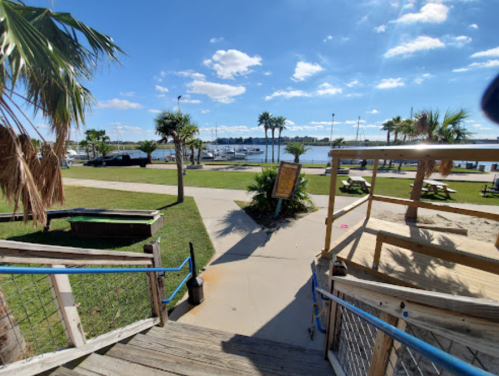 A sunny waterfront scene with palm trees, a grassy area, and boats docked in the background. Steps lead down to the water.