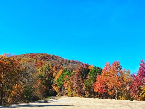 A scenic view of a clear blue sky above a colorful autumn landscape with trees in vibrant red, orange, and yellow hues.