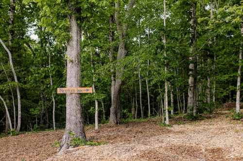 A wooden sign points right towards a trail in a lush green forest with trees and a clear path.