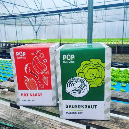 Two colorful boxes of DIY kits for hot sauce and sauerkraut, displayed on a wooden shelf in a greenhouse.