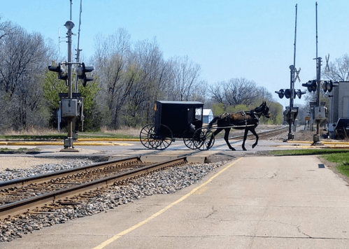 A horse-drawn buggy crosses a railroad track on a sunny day, surrounded by trees and signaling equipment.