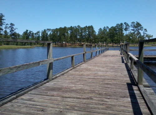 A wooden pier extends over a calm lake, surrounded by trees under a clear blue sky.