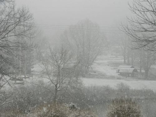 A snowy landscape with trees and a small building in the distance, creating a serene winter scene.