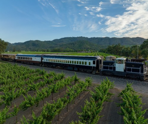 A vintage train passes through lush vineyards under a clear blue sky and rolling hills.