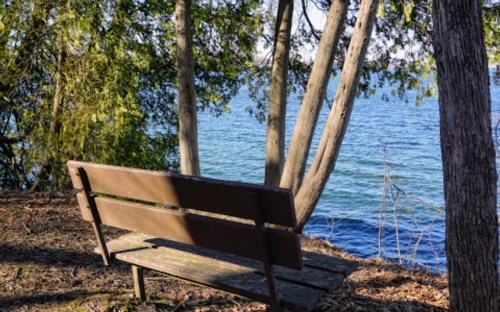 A wooden bench by a serene lake, surrounded by trees and reflecting water under a clear sky.