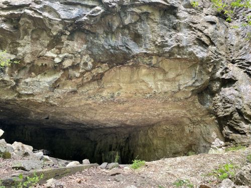 A rocky cave entrance surrounded by greenery and scattered stones on the ground.