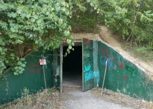 An entrance to a green bunker covered in graffiti, surrounded by trees and overgrown vegetation.