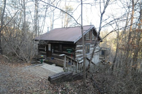 A rustic log cabin nestled among bare trees on a sloped terrain, with a wooden walkway leading to the entrance.