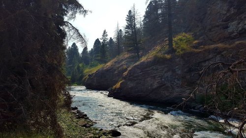 A serene river flows through a rocky landscape, surrounded by tall trees and gentle hills under a hazy sky.