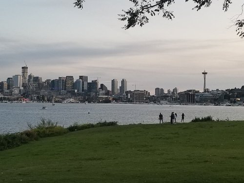 Silhouette of people walking on a grassy shore with a city skyline and Space Needle in the background at dusk.
