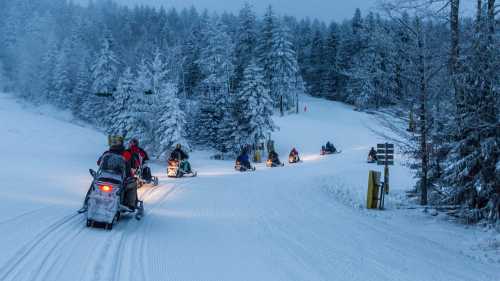 A group of snowmobiles travels through a snowy forest, surrounded by tall trees and a serene winter landscape.