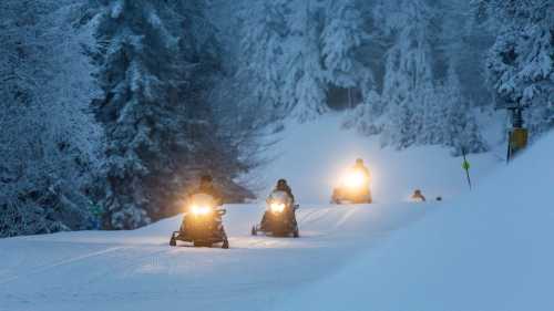 Snowmobiles ride through a snowy forest, their headlights illuminating the winter landscape.