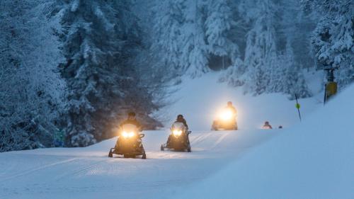 Snowmobiles ride through a snowy forest, their headlights illuminating the winter landscape.