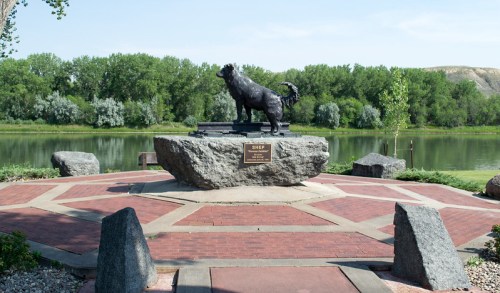 A bronze statue of a dog on a rock pedestal by a river, surrounded by a landscaped area and trees.
