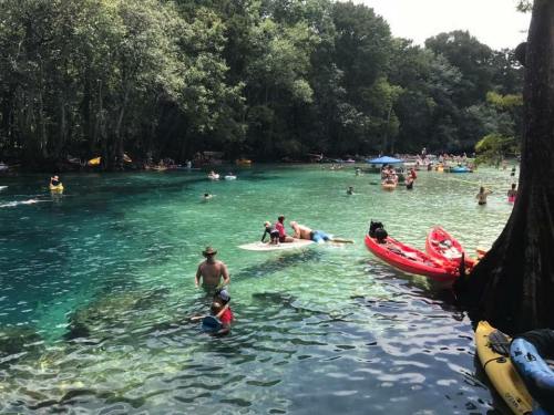 A vibrant river scene with people swimming, kayaking, and relaxing among lush greenery and clear blue water.