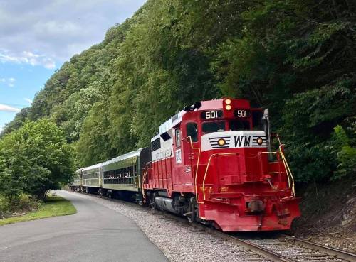 A red train with the number 501 travels along a scenic track surrounded by lush green trees.