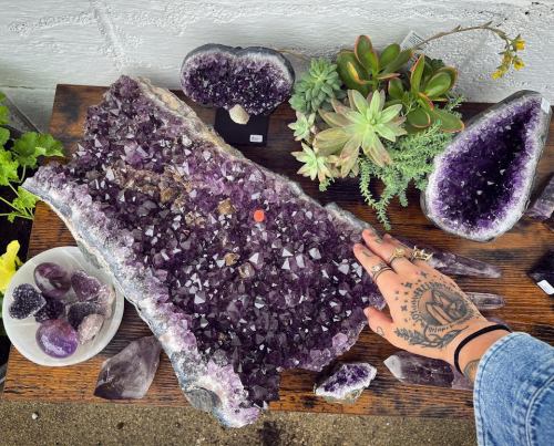 A hand touches a large amethyst geode on a wooden table surrounded by smaller crystals and succulent plants.