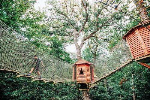 A person walks on a suspended bridge connecting treehouses in a lush forest setting.