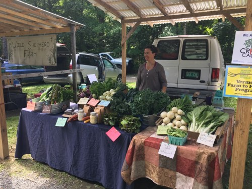 A farmer's market stall with fresh vegetables and a woman standing behind it, surrounded by produce and signs.