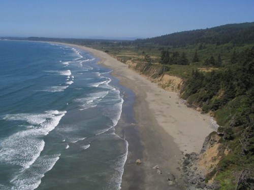 A scenic view of a sandy beach with gentle waves, surrounded by lush green hills under a clear blue sky.