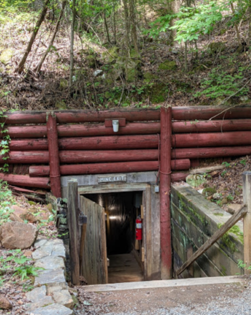 Entrance to a mine, framed by wooden logs, surrounded by lush greenery and rocky terrain.