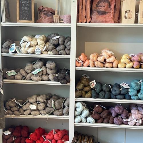 A display of various yarns in different colors and textures, neatly arranged on shelves.