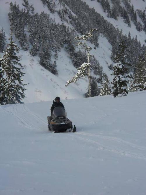 A person riding a snowmobile through a snowy landscape with tall evergreen trees and mountains in the background.