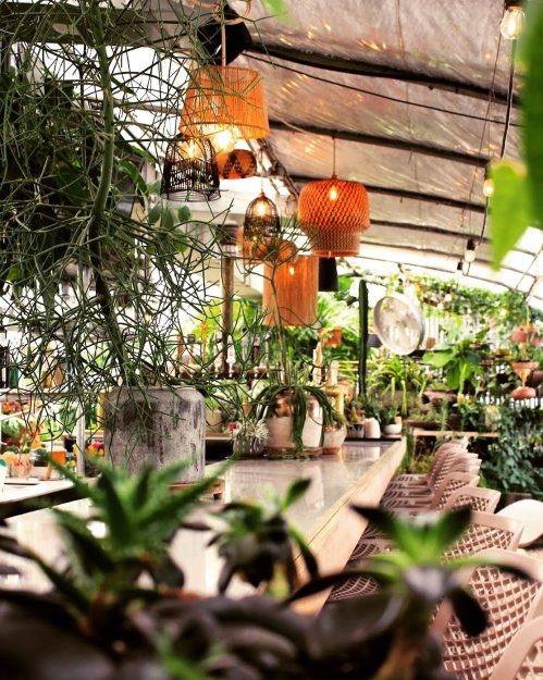 A cozy indoor garden space with hanging lights, plants, and a wooden bar surrounded by greenery.