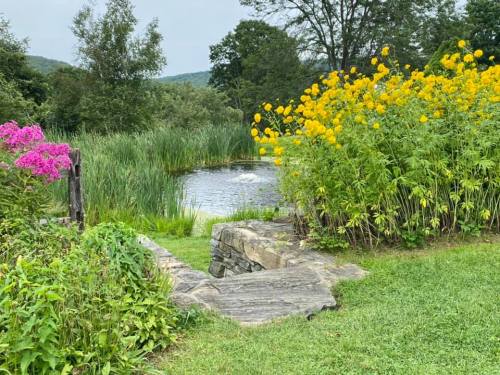 A serene pond surrounded by lush greenery and vibrant yellow and pink flowers under a cloudy sky.
