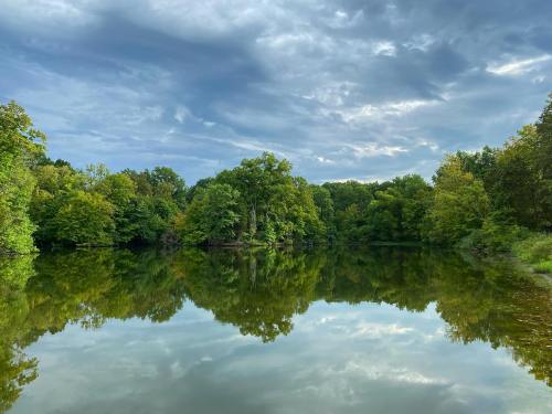 A serene lake surrounded by lush green trees, reflecting the cloudy sky above.