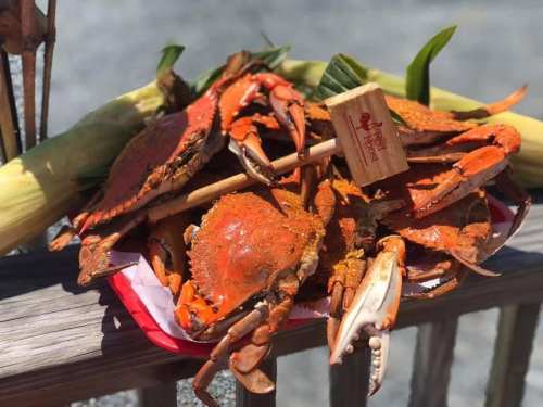 A pile of cooked crabs with a wooden mallet, garnished with green leaves on a red and white checkered cloth.
