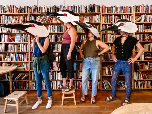 Four people wearing large bird masks stand on stools in front of a bookshelf filled with books.