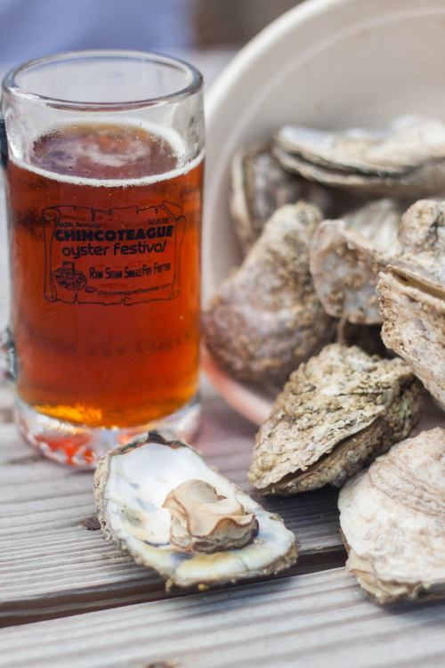 A glass of amber beer next to a plate of fresh oysters on a wooden table.