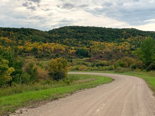 A winding dirt road curves through a landscape of green and autumn-colored trees under a cloudy sky.