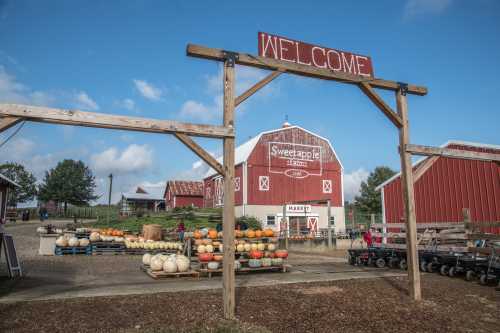 A welcoming farm entrance with pumpkins and a red barn in the background under a blue sky.