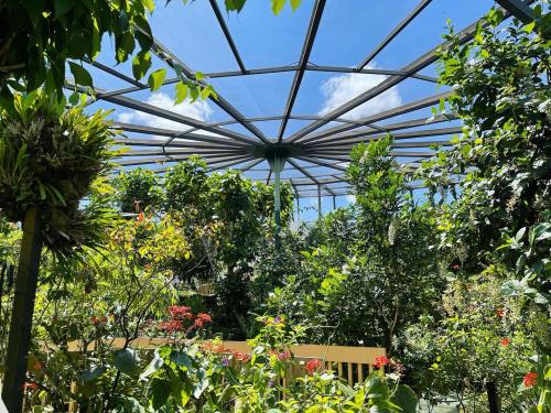 Lush greenery and colorful flowers under a glass roof, with blue skies and clouds visible above.