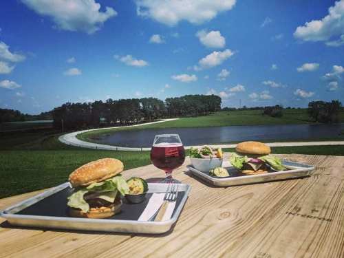 Two burgers and a glass of red drink on a wooden table, with a scenic view of a pond and green fields under a blue sky.