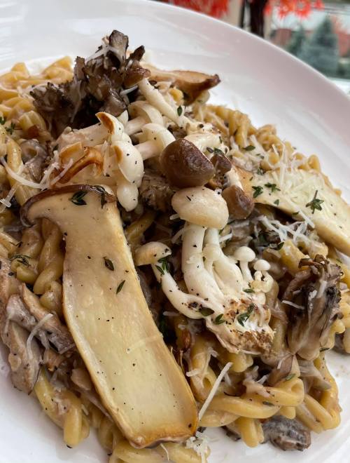 A plate of pasta topped with various mushrooms, herbs, and grated cheese, served in a creamy sauce.