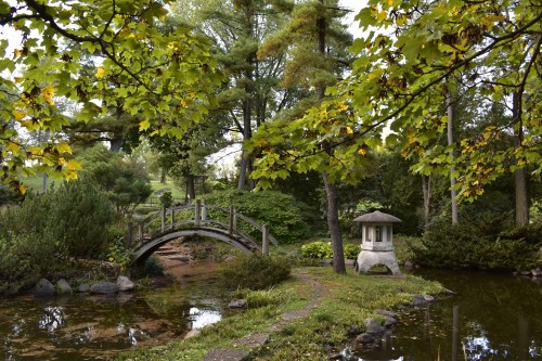A serene garden scene featuring a wooden bridge, lantern, and lush greenery reflected in a calm pond.