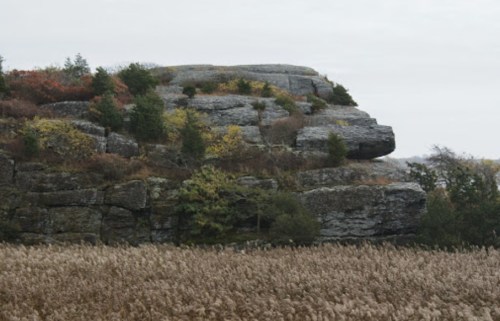 A rocky outcrop surrounded by autumn foliage and tall grasses under a cloudy sky.